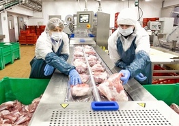 Трудоустройство в Польше. Работа в мясной промышленности