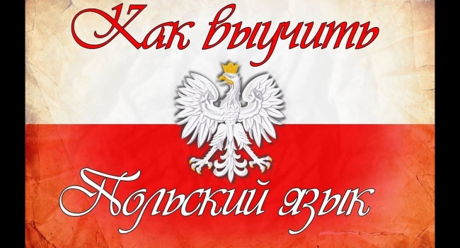 Польский язык для всей семьи: от нуля до B1 и Карты Поляка